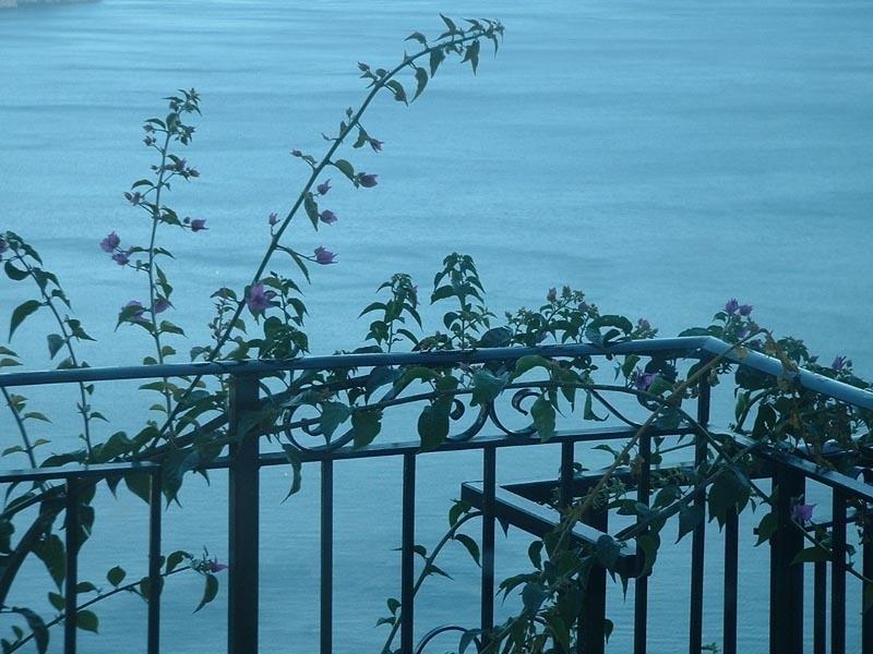 Il Giardino Dei Limoni Daire Ravello Dış mekan fotoğraf